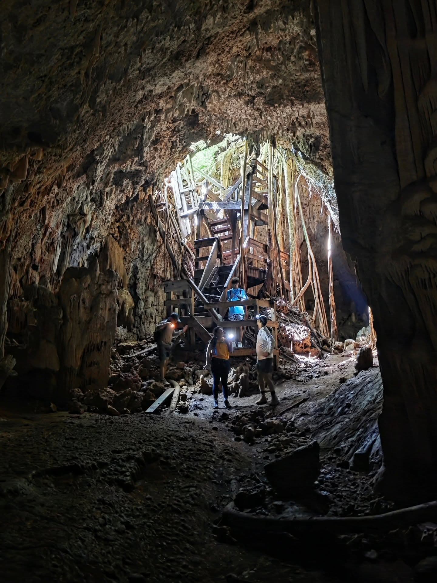 Los Haitises All In One (Kayaking, Hiking, Boating, Caving, Swimming Natural Pool & Lunch) From Las Terrenas — Guided tour and outdoor activity