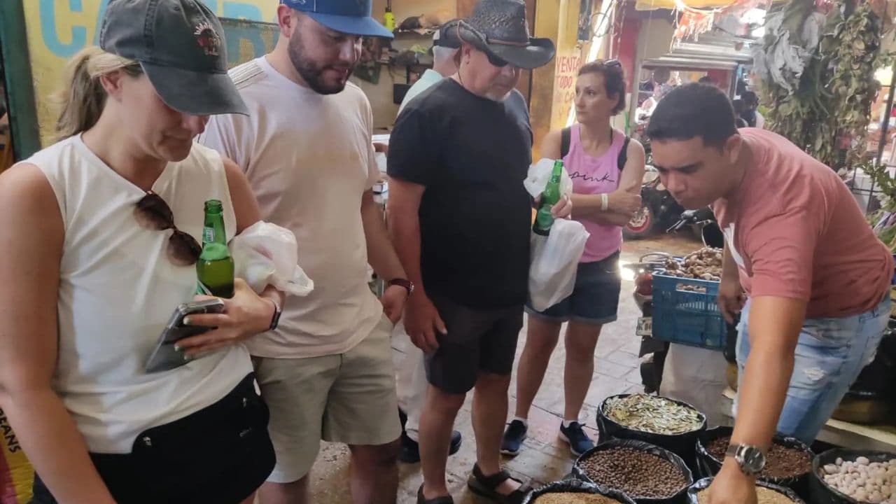 From Punta Cana: Half-Day Dominican Republic Cultural Tour — Guided tour and outdoor activity