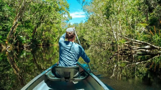 Tortuguero: Canoe Tour and Turtle Nesting Tour Package — Guided tour and outdoor activity