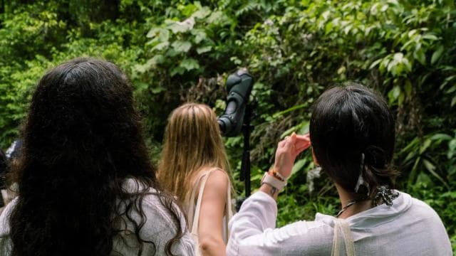 Manuel Antonio Park: Guided Walking Tour with a Naturalist (Copy) — Guided tour and outdoor activity