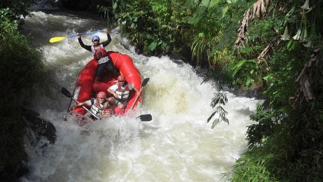 Costa Rica: White-Water Rafting Class III-IV Adventure — Guided tour and outdoor activity