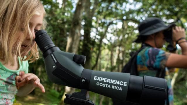 San Jose: Walking Nature Tour with Sloths, Birds, and Trees — Guided tour and outdoor activity