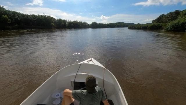 Costa Rica Mangrove Tour: Terraba National Wetlands - Uvita — Guided tour and outdoor activity