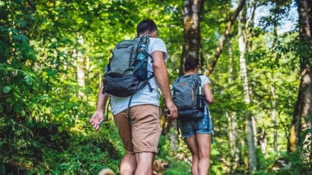 Punta Cana: Los Haitises National Park Hiking and Kayaking — Guided tour and outdoor activity