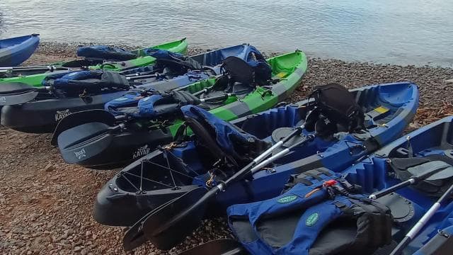 Paquera: Bioluminescent Kayak Tour Costa Rica — Guided tour and outdoor activity