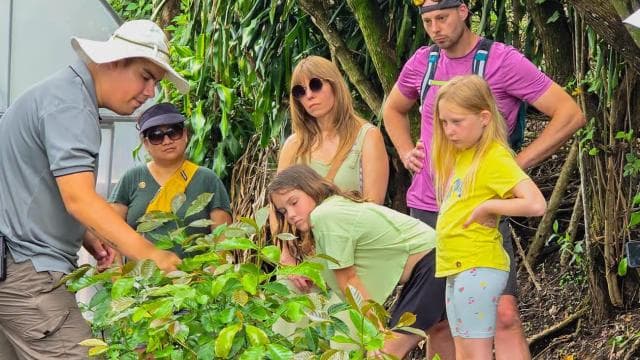 Monteverde: Coffee, Chocolate, and Sugar Cane Tour — Guided tour and outdoor activity