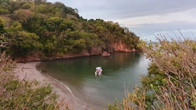 From Jaco: Bioluminiscence Boat Tour with BBQ & Drinks — Guided tour and outdoor activity