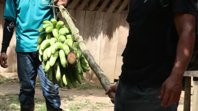 Cahuita National Park+Bribri Chocolate Tour+Waterfalls Tour+Lunch — Guided tour and outdoor activity