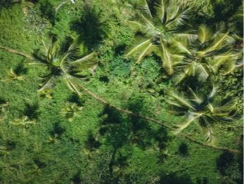 Sabana de la Mar: Los Haitises Guided Hike and Kayaking — Guided tour and outdoor activity