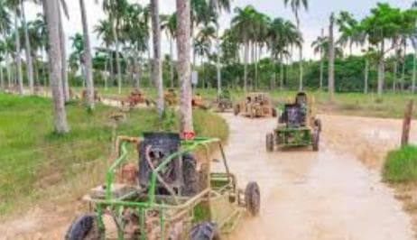 Punta Cana: Saona Island & Buggy Adventure 2-Day Tour — Guided tour and outdoor activity