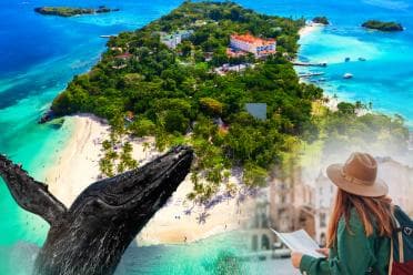 From Samaná: Whale Watching and Cayo Levantado Island Tour — Guided tour and outdoor activity