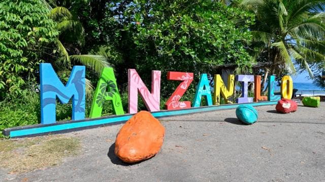 SNORKEL MANZANILLO - 2 Hours with fresh fruit + coconuts — Guided tour and outdoor activity