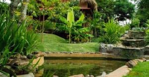 Punta Cana: Higüey Basilica & City Tour w/Local House Visit — Guided tour and outdoor activity