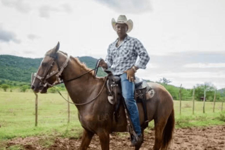 Horse Riding in The Parque El Cubano Natural Park — Guided tour and outdoor activity