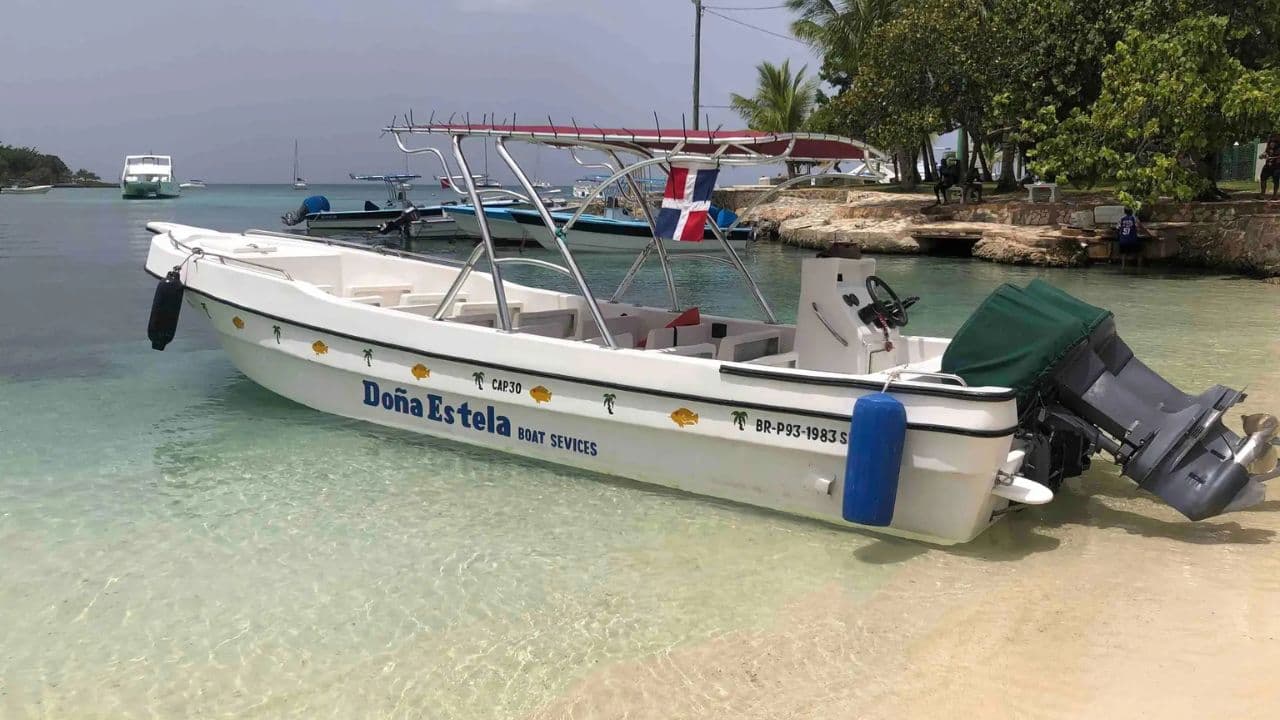 Saona Island: Beaches and Natural Pool Cruise with Lunch — Guided tour and outdoor activity