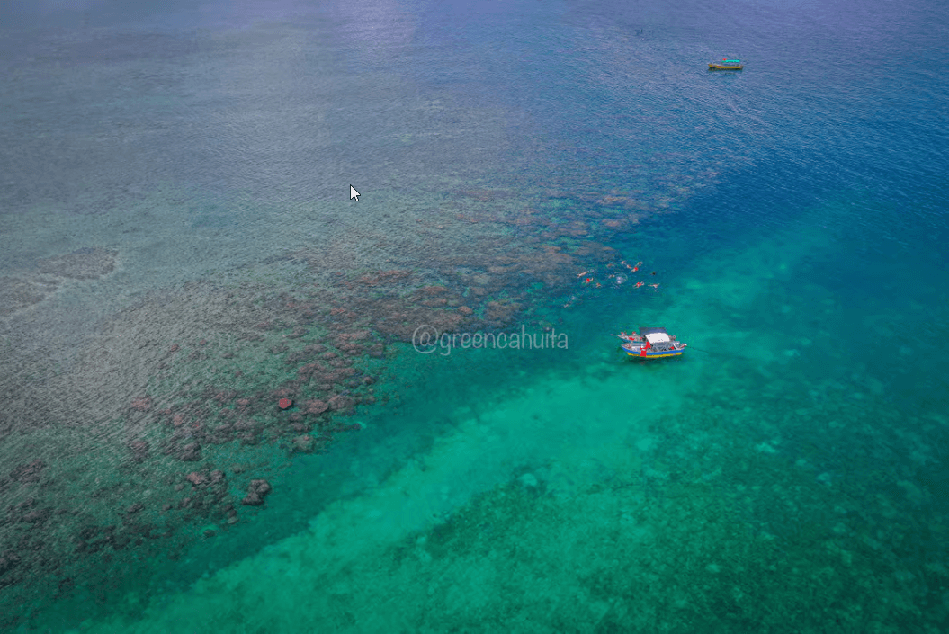 Snorkel en el Parque Nacional Cahuita: Explora el Arrecife — Guided tour and outdoor activity