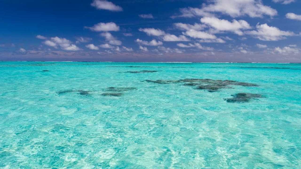 Saona Island Full-Day with Pickup in your Hotel Punta Cana — Guided tour and outdoor activity