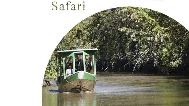 Palo Verde National Park: Wildlife Boat Tour — Guided tour and outdoor activity