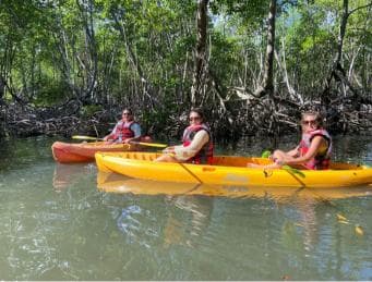 Los Haitises All One: Kayaking, Hiking, Boat, and Swimming — Guided tour and outdoor activity