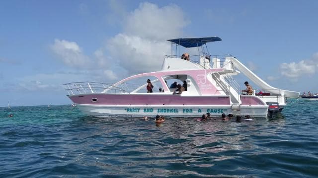 Punta Cana: Private Party Boat with Slide and BBQ — Guided tour and outdoor activity