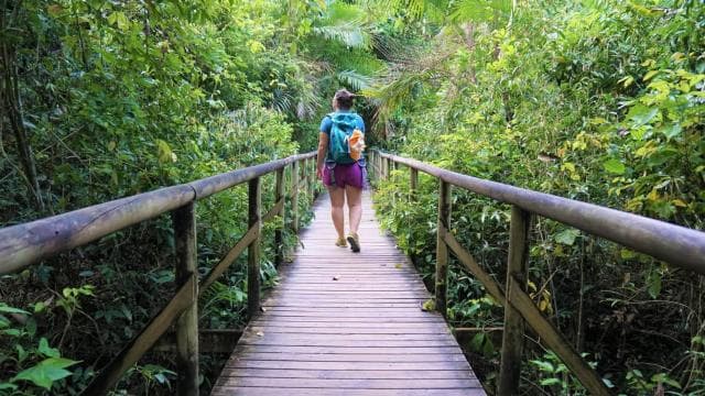 Manuel Antonio: Discover the tropical forests & white-sand — Guided tour and outdoor activity