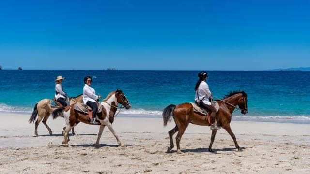 From Brasilito: 1-Hour Horseback Riding Beach Tour — Guided tour and outdoor activity