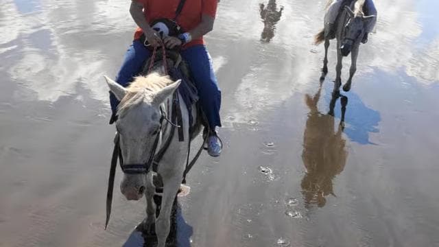 Jaco Horse Tours — Guided tour and outdoor activity