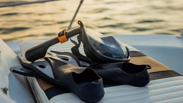 Costa Rica: Dolphin Watching & Snorkelling Private Charter — Guided tour and outdoor activity
