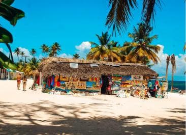 La Romana: Saona Crusoe VIP for cruise guests — Guided tour and outdoor activity