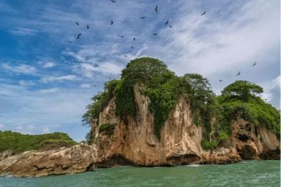 Sabana de la Mar:Los Haitises National Park: Boat Tour and Cave Visit — Guided tour and outdoor activity