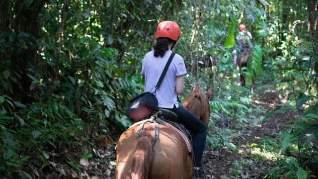 La Fortuna: Horseback Ride La Fortuna Waterfall w/Pick-up — Guided tour and outdoor activity