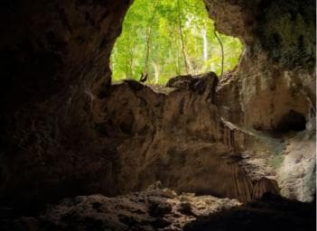 Sabana de la Mar: Los Haitises National Park Day Trip Free — Guided tour and outdoor activity