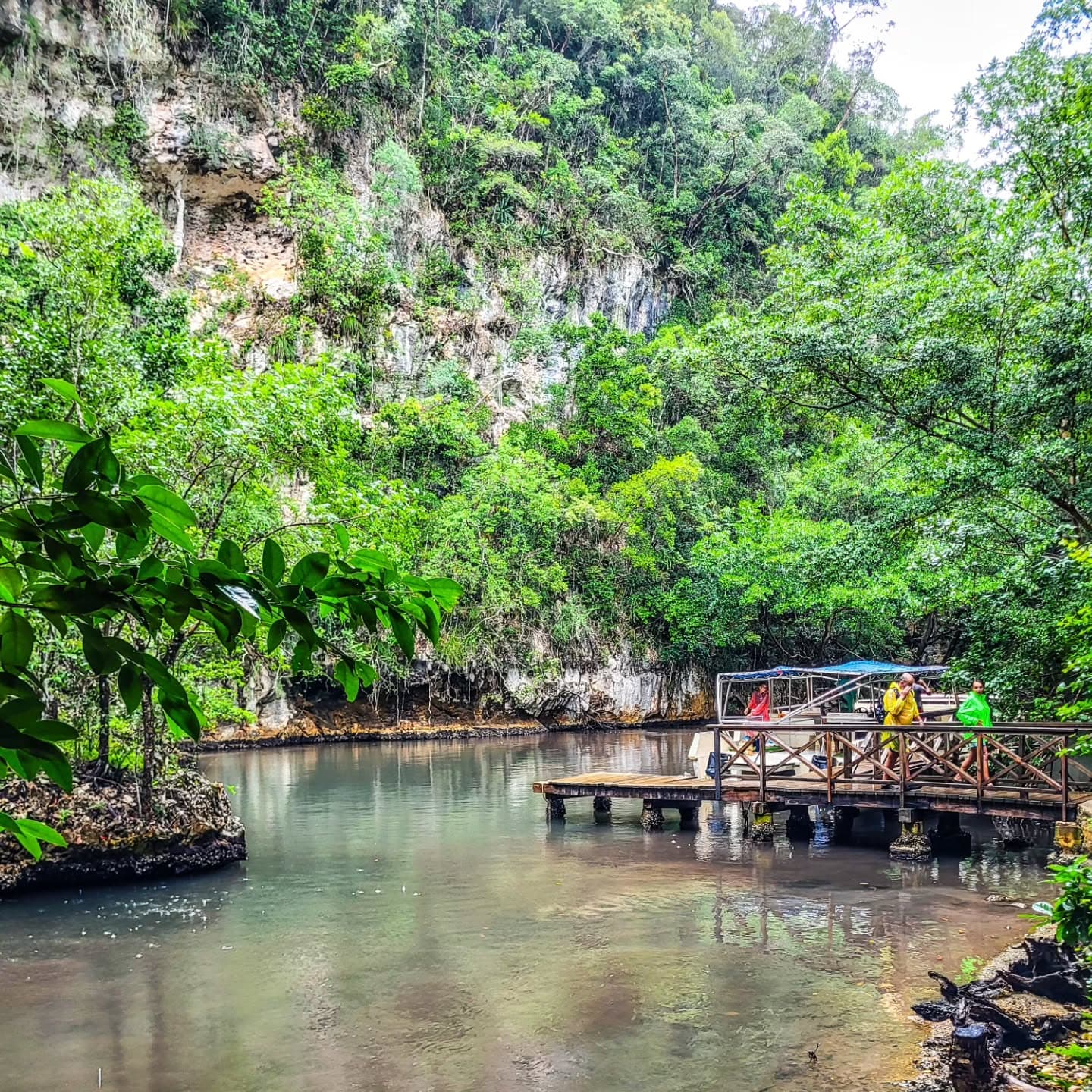 Sabana de la Mar: Los Haitises Park Bike and Boat Tour — Guided tour and outdoor activity