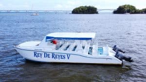 Private Catamaran Samaná Bay – Rey De Reyes V — Guided tour and outdoor activity