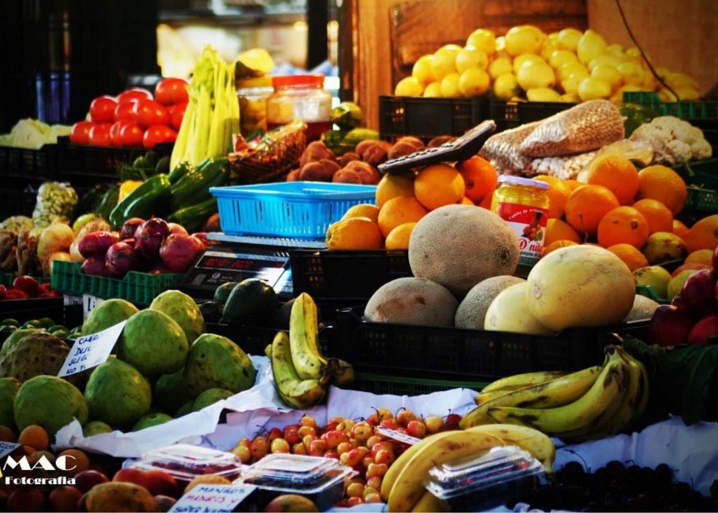 Discover Santiago Half Day Guided Tour Included Local Snack — Guided tour and outdoor activity