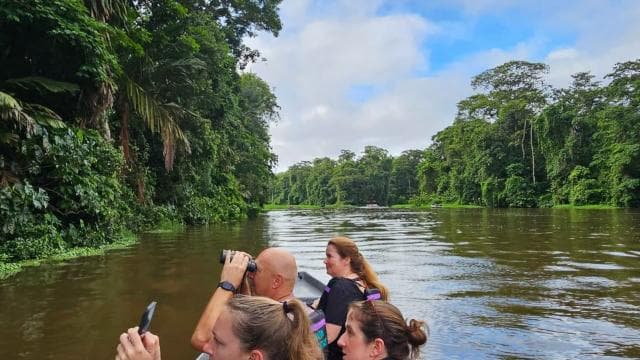 Tortuguero: Canoe tour package and night walk in the jungle. — Guided tour and outdoor activity
