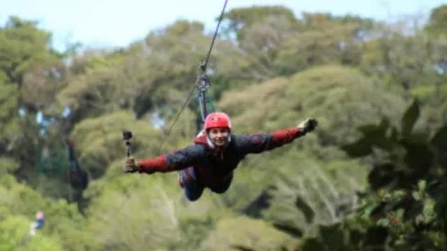 Monteverde: Thrilling Zip Line Canopy Tour — Guided tour and outdoor activity