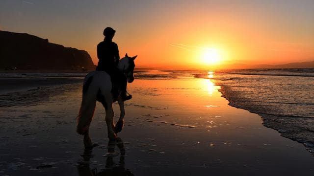 Tamarindo: Horseback to Tamarindo Beach - Guanacaste, CR — Guided tour and outdoor activity