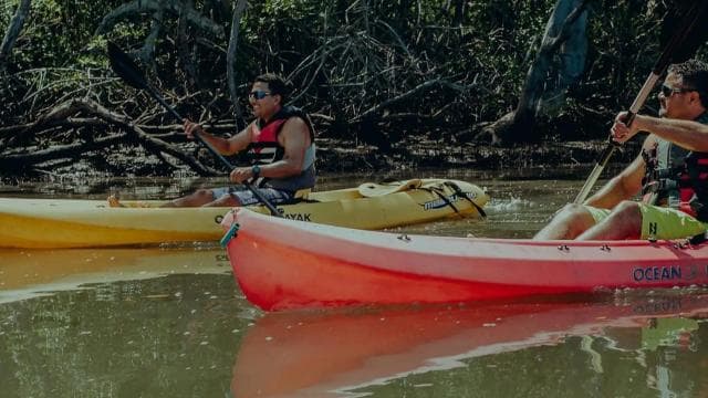 Uvita - Dominical: Private Kayak Tour - Mangroves of Terraba — Guided tour and outdoor activity