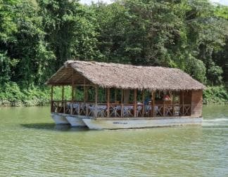 Adventure Bayahibe Buggy between Jungle, Caves & Beaches — Guided tour and outdoor activity