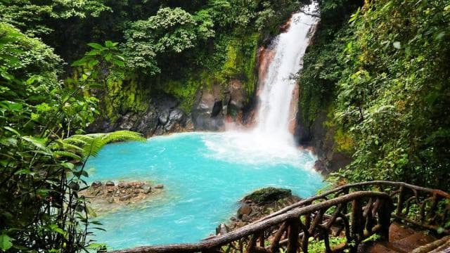 La Fortuna: Rio Celeste Full Day Tour — Guided tour and outdoor activity