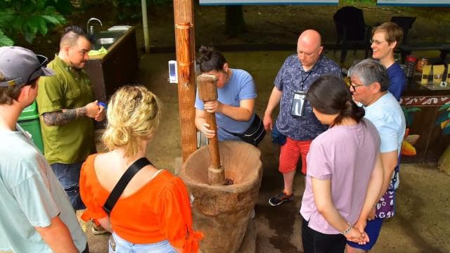Jaco Beach & Los Suenos: Chocolate Tour and Zip lining — Guided tour and outdoor activity