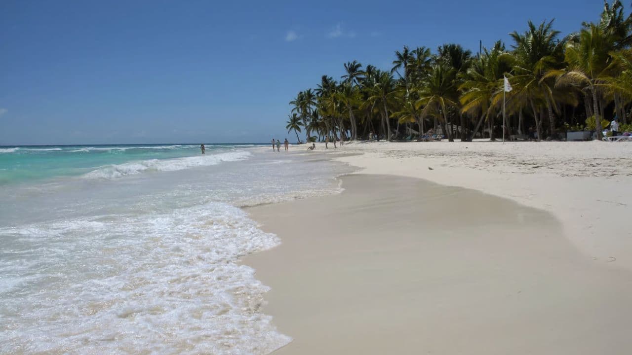 Bayahibe La Romana: wycieczka buggy + rzeka z transportem — Guided tour and outdoor activity