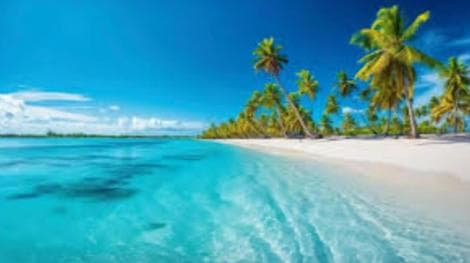 Punta Cana: Catalina Island and Snorkel For Small Group — Guided tour and outdoor activity