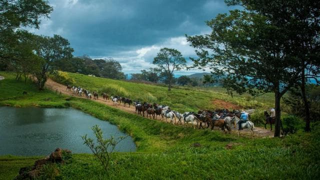Liberia: Rainforest and Waterfalls Horseriding Tour — Guided tour and outdoor activity