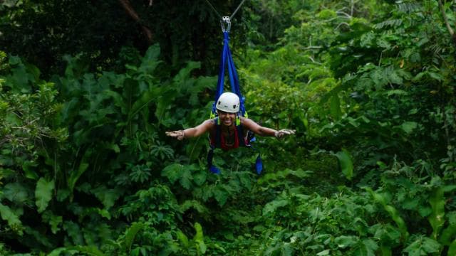 Puerto Viejo Limón: Best Canopy Tour / Ziplines — Guided tour and outdoor activity