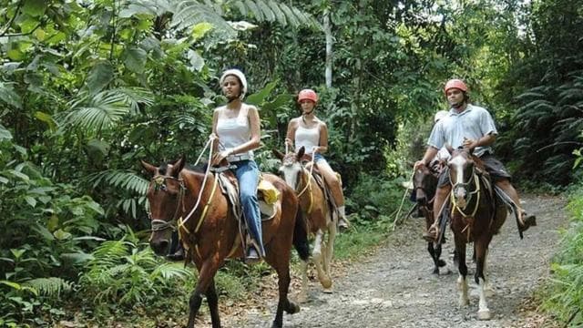 From Manuel Antonio: Horseback Riding with Lunch or Dinner — Guided tour and outdoor activity