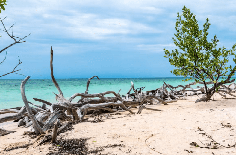 Trinidad, Cienfuegos, Viñales & los Cayos 9-day Tour — Guided tour and outdoor activity