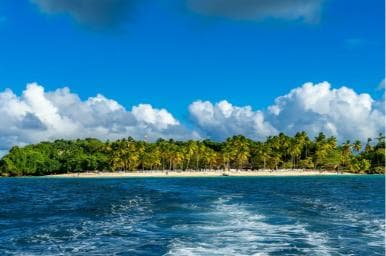 Samaná: Bacardi Island Boat Trip with Guide — Guided tour and outdoor activity