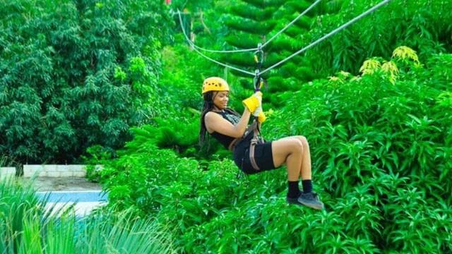 From:Puntacana Zip Line Adventure44 — Guided tour and outdoor activity